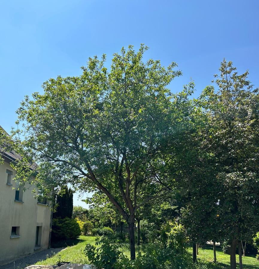 Arc En Ciel Du Mont Bed & Breakfast Pontorson Exterior photo